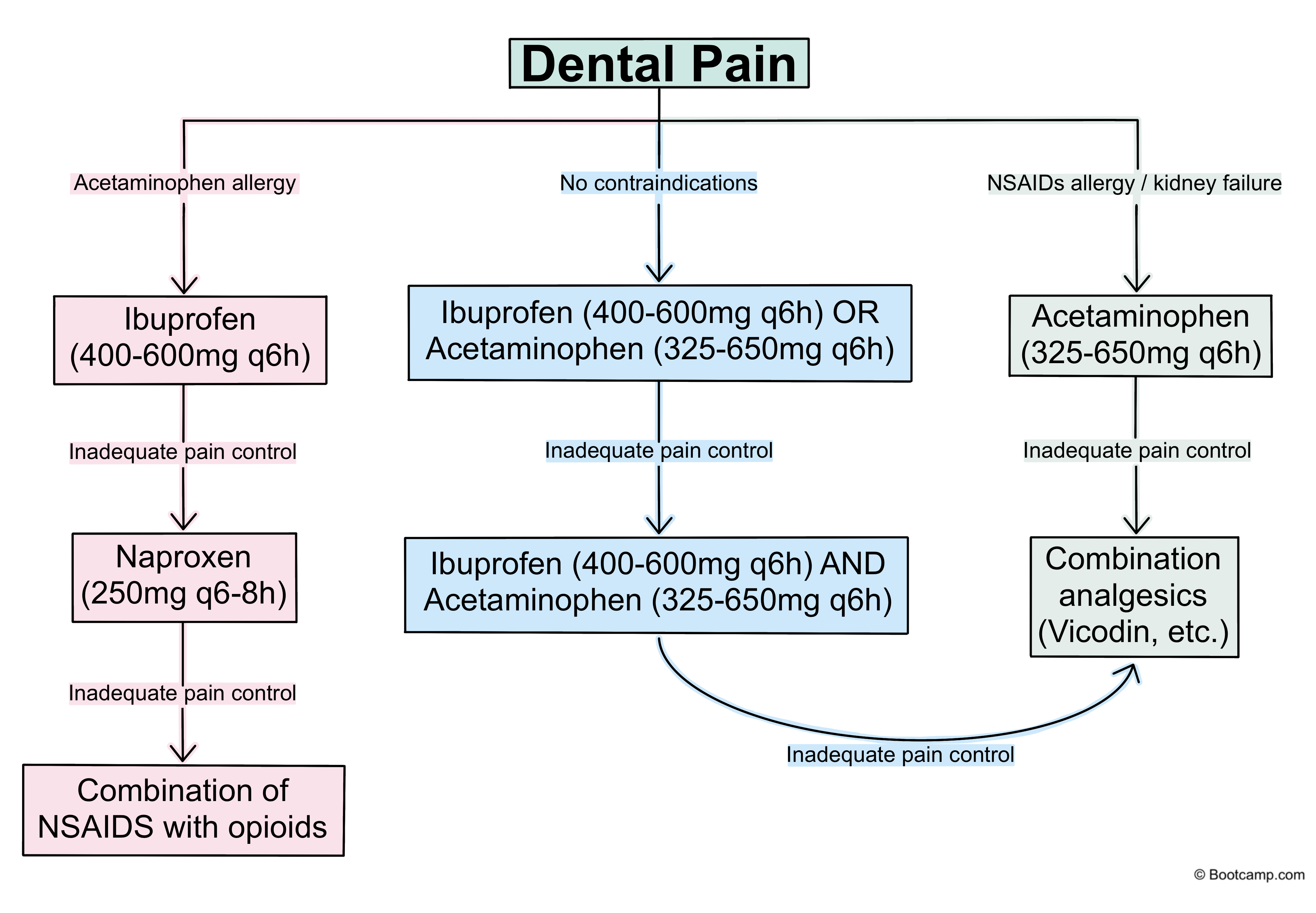 Analgesics to Know for the INBDE INBDE Bootcamp